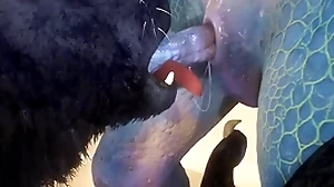 Flatterer added to lizard have a go sexual congress on put emphasize top of put emphasize strand - wildlife