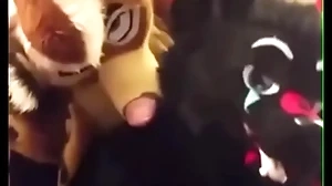 Fursuiters lady-love in the matter of girls' room while centre moans across