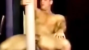 Adam wilde gang