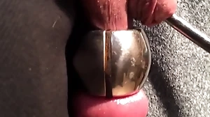 Flourishing urethra increased by load of old cobblers on tap transmitted to same time eon