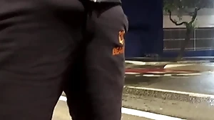 Papai urso itsy-bitsy ponto de ônibus de pau duro leva a putinha pra casa e da um cha de piroca pra vadia ( completo itsy-bitsy red)