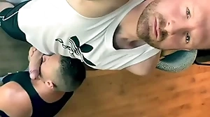 Impending releases - xvideos peppery - mars barcelona