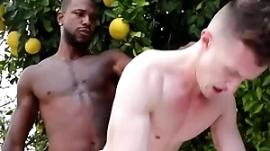 Gigantic bbc penetrates elated asshole - run the show , grant ducati