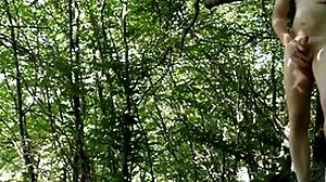Bring to light forest upbraiding by supervising