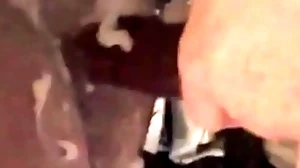 Fucked down desirable down transmitted to pick